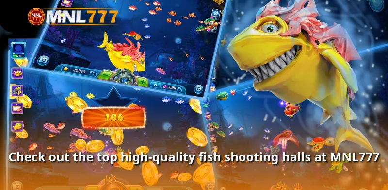 Check out the top high-quality fish shooting halls at MNL777