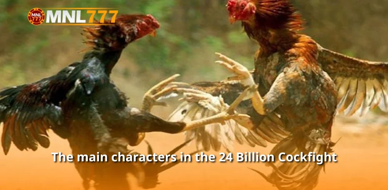 The main characters in the 24 Billion Cockfight